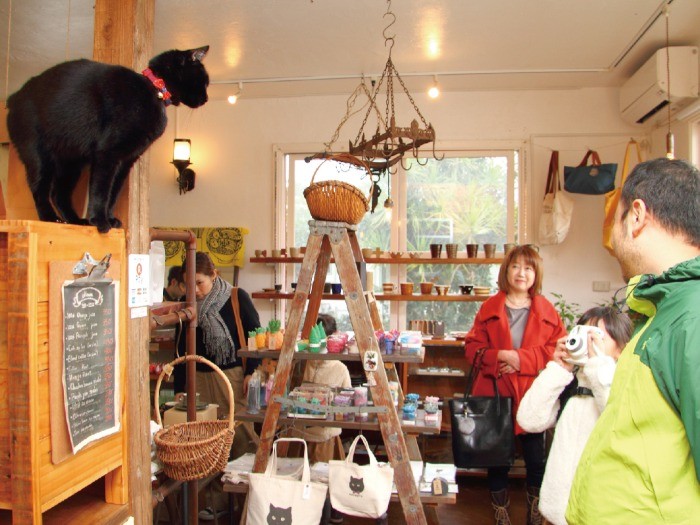 レジ脇のお立ち台で、小学生のお客様の激写に応えてポーズ