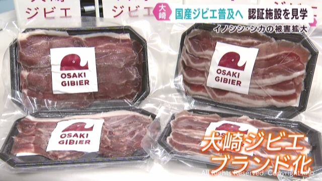 ジビエ普及へ　解体方法などのセミナー　宮城・大崎市