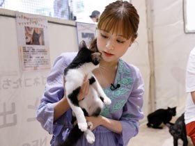 保護犬や保護猫の譲渡会　映画「犬部！」出演の大原櫻子さんらが参加