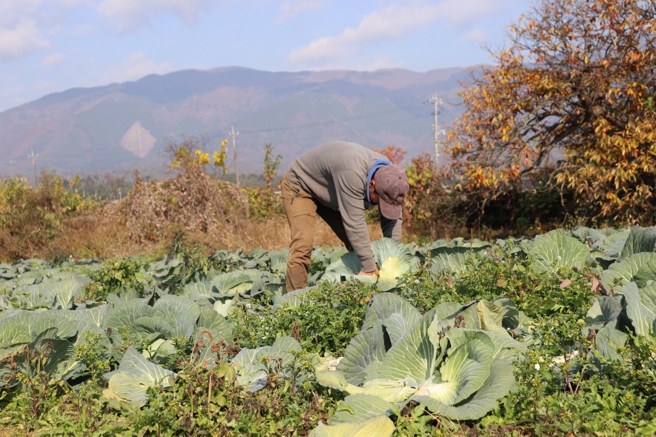 騎手が選んだ 農家 という次のステージ ブレない気持ちは 人と違うことをすること ほ とせなnews