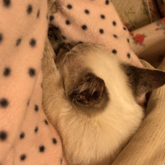 初めてのフミフミは悩殺的だった