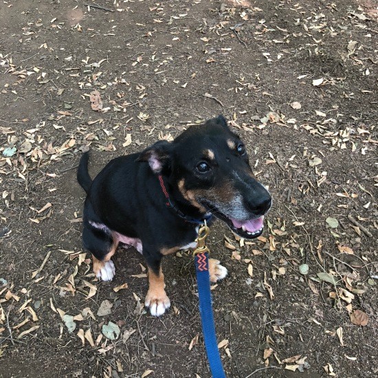 いつでも目を見て真っ直ぐなベリオ