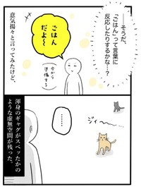 【漫画】『ネコと暮らした9日間』15（イゴカオリさん提供）