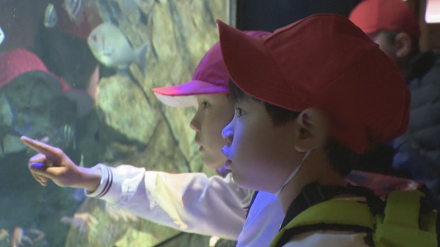 「ちょっとだけ緊張」統合予定の3校の児童が四国水族館で合同学習　イルカやペンギンを見学