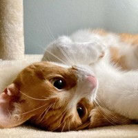 寝起きのあざといお顔