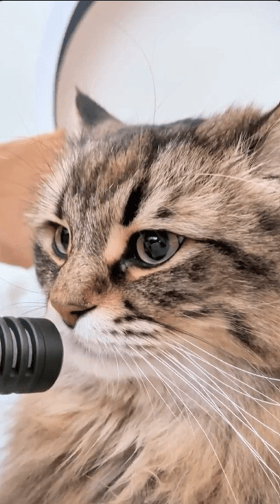 マイクに向かって熱弁を振るうヤマネコくん（提供：ヤマネコさん）