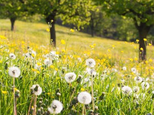 就活帰りのバスでさっと席を譲った私は、もう「やさしくて、いい子」じゃなかった