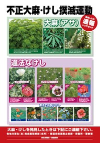 不正大麻・けし撲滅運動ポスター（画像：厚生労働省　HPより）