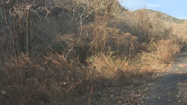 遺体を遺棄したとされる現場　井原市　4日