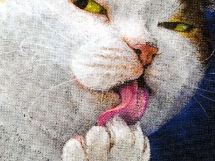 夜空を見上げる猫たち　『ネコヅメのよる』は猫ファン必読