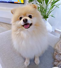 「お出かけ」と聞いて、ニコニコ笑顔になるぱっちゃん（画像提供：ぱっちゃんさん）