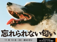 【アマギフ対象】「忘れられない匂い part2」でエッセイ募集！11月10日（日）締切