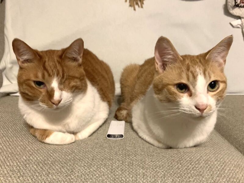 「僕ら、楽しい毎日です」