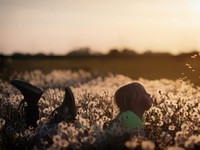 彼をもう一度信じたいと思えた。月並みな結論を出せたことが幸せ