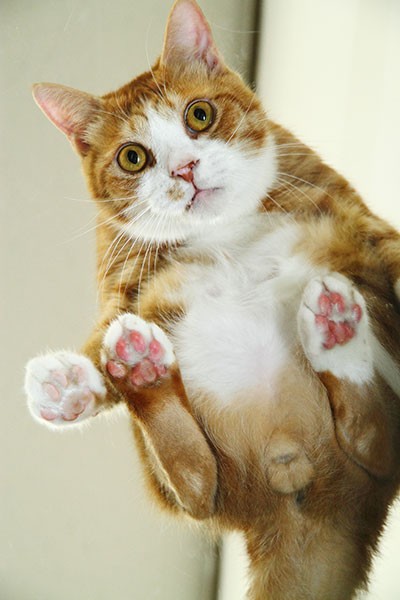 いろいろと無防備