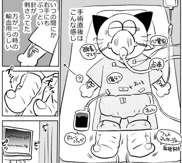 1～2時間おきに看護師さんが様子を見に来てくれる（春日サブスカさん提供）