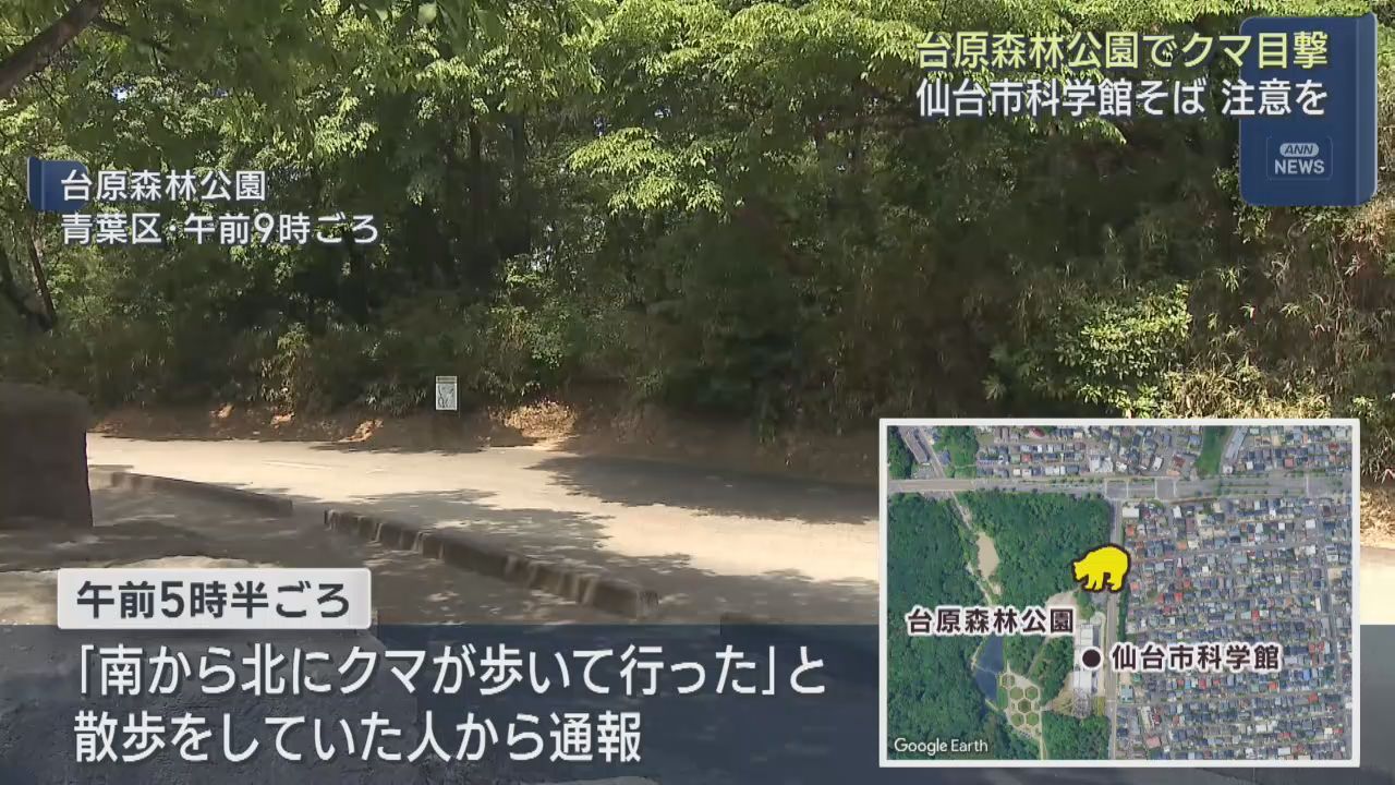 クマの目撃が相次ぐ　仙台市の台原森林公園と宮城野区岩切