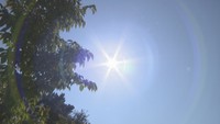 【天気予報】7月の平均気温は高松29.7℃で岡山29.1℃　8月も厳しい暑さ続く　岡山・香川