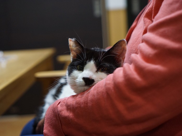 早苗さんに抱かれる１歳のはなちゃん