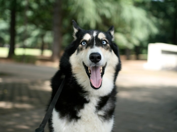 これは7歳くらいかな