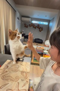 こちらは猫パンチ…（「W＊S」さん提供、Instagramよりキャプチャ撮影）