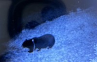 白岩孝夫南陽市長(@TakaoShiraiwa)のXより