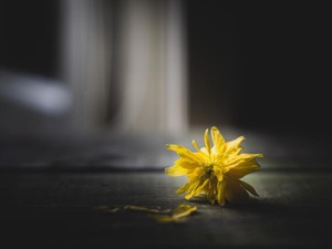 一度は振ったのに。7ヶ月たって、急にまた気になりだしたワケ