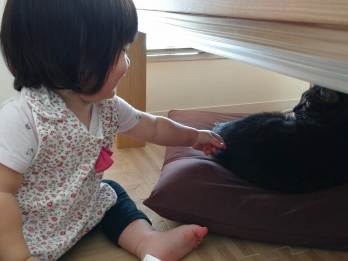 触らせてあげるけど、ちょっとビクビクなモモ