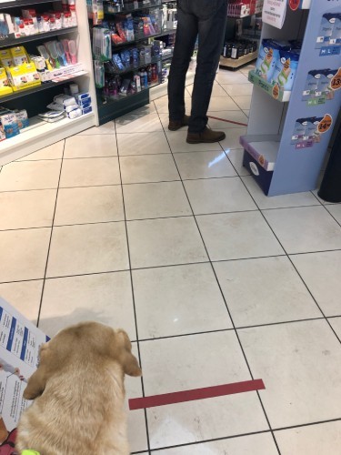 人との距離を保つため床にテープが貼ってある。この頃はまだのんきで、グレースを連れて買い物に行っていた。