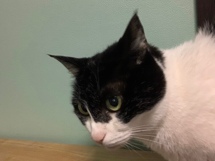 ママどこ～っと探しているようでした（早苗さん提供）