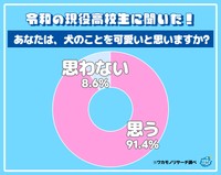「犬と猫」についての調査