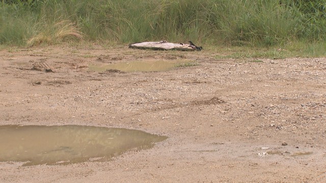 遺体が見つかった現場　さぬき市鴨庄　6月12日