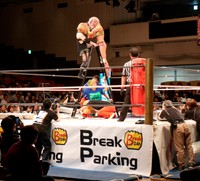 ラダーの頂上でもみ合うウナギ・サヤカとDASH・チサコ＝24年4・14センダイガールズ後楽園大会