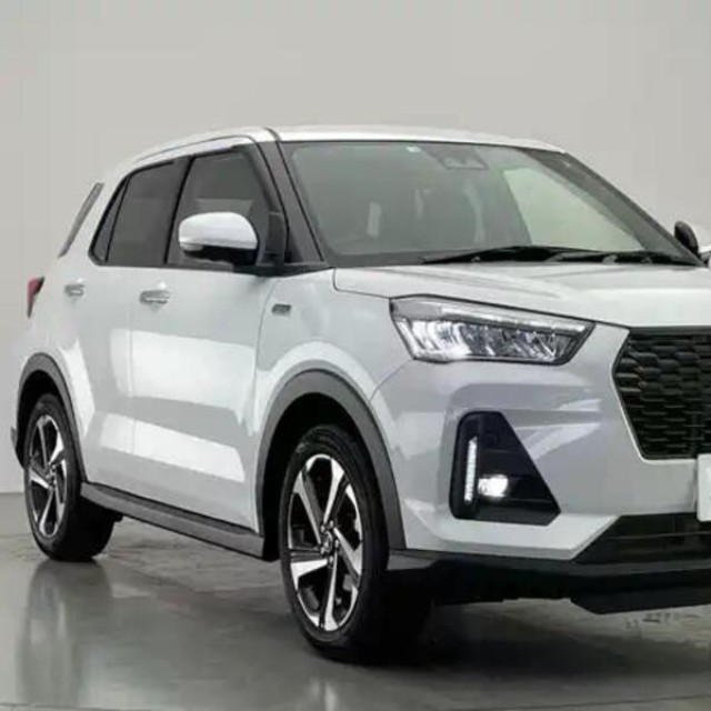 ロッキー（提供：norico by ガリバー）