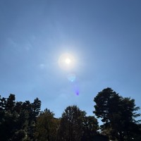 芋洗坂係長さんの公式Xから