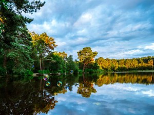 「敏感すぎる」からこそ、相手を傷つけない言葉選びができる