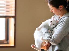 犬派のネイリスト、言うこと聞かない兄妹猫迎え人生観変わる