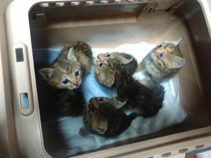 生涯をともに暮らす家族を待つ