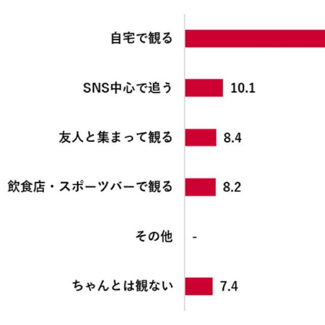 観戦スタイル
