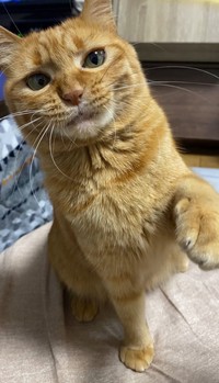 入るの大好き！つぶちゃん