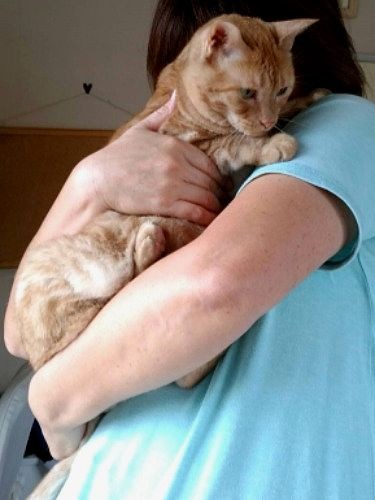 「ママ、私を連れてきてくれてありがとう」