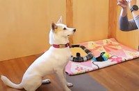 全国からの支援者たちからのサポートで手術を受けることができたモーリー