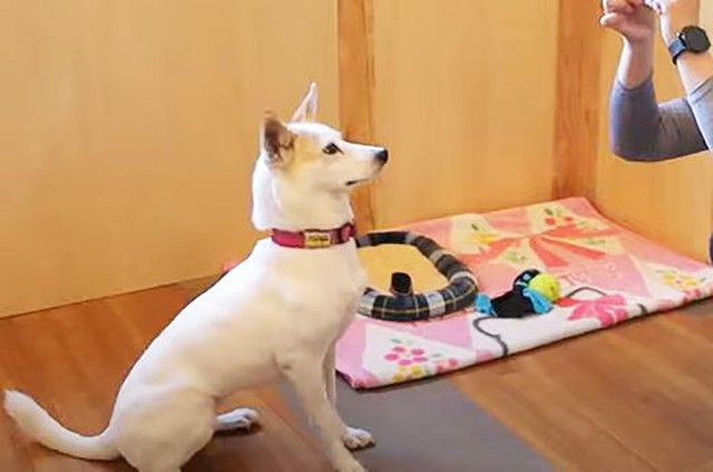 全国からの支援者たちからのサポートで手術を受けることができたモーリー