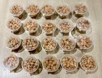 ご主人が量産している手作り納豆（てんやわんやママさん提供）