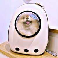 「お出かけ」だと思って笑みを浮かべるボスくんですがーー（画像提供：ポメラニアン ボスさん）