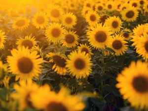 本当に苦しい時に助けてくれるのは、幼い頃は怖かった父親だった