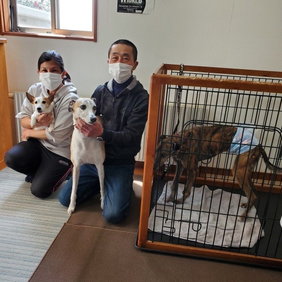 長野県は自然豊かで犬の飼育に向いており、愛犬家も多い土地柄。先住2匹も元保護犬で、3匹目は「ゆめまるHAPPY隊」から迎えたご夫婦