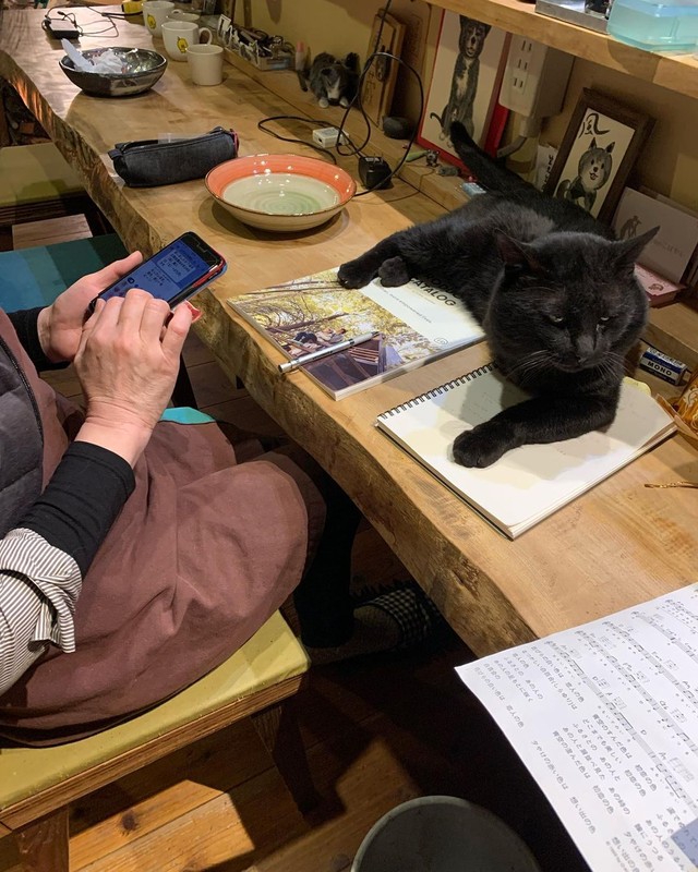 お母さんの作業の邪魔をする