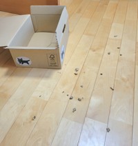 ちぎり始めた頃（飼い主さん提供）