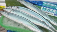 秋の味覚｢サンマ｣ 新鮮市場きむら屋島店(高松市屋島西町)